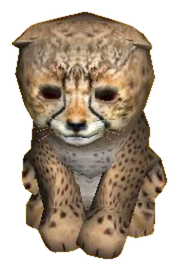 Dust Cub, a small cheetah cub sitting